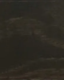 Венге