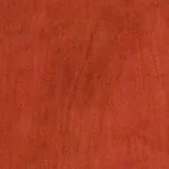 Яблуня локарно