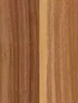 Слива