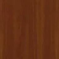Яблуня локарно