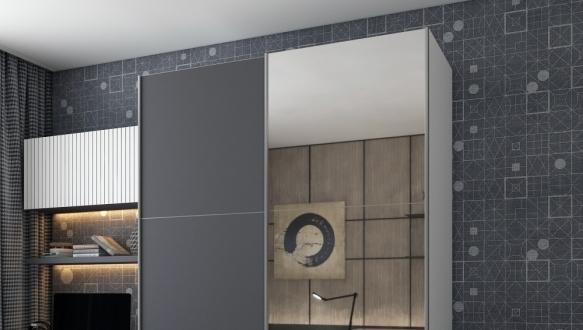 Шкаф-купе с зеркалом Дорос G-Caiser белый/графит 2 дверная 160 см 1