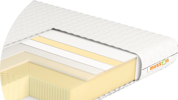 Матрас ЭКОЛАТЕКС МЕМОРИ SOFT / TM MUSSON 2
