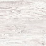 Аляска сіра