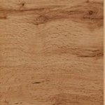 Дуб золотий