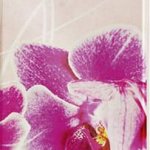 Кольоровий друк