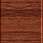 Дуб альпійський