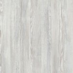 Сосна Натті