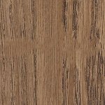 Дуб флоренція