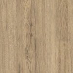 Дуб Санремо