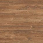 Дуб стірлінг