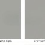 Мадагаскар / Нельсон / Сосна арктична