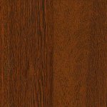 Дуб рустікал/Дуб золотий