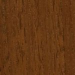 Горіх світлий