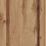 Дуб золотий