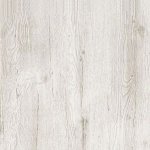 Сосна каньйон