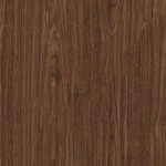 Горіх канадський