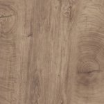 Спил дерева медовий