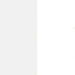 Німфея альба/Білий мат