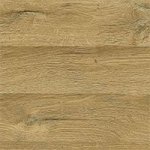 Дуб Золотий