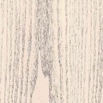 Дуб білений