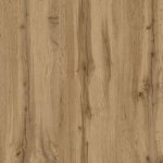 Дуб аппалачі