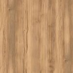 Дуб Барокко