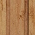 Дуб золотий