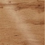 Дуб золотий