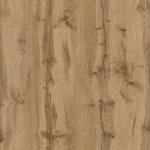 Дуб золотий