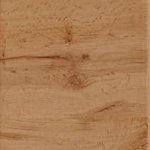 Дуб золотий