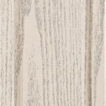 Дуб білений