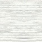 Сосна біла Андерсен