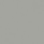 Шиншила сіра