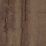 Дуб Монастері