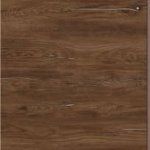 Дуб сільверджек