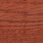 Яблуня еко масло