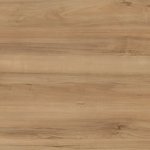 Старе дерево