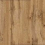 Дуб Аппалачі