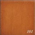 101