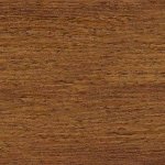 Горіх патина