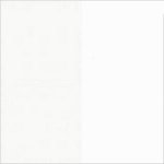 Німфея альба/Білий глянець