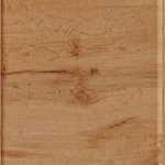 Дуб золотий