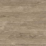 Дуб бруніко