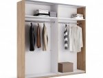 Шкаф-купе 2.0 Фемели 13