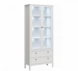 Вітрина висока 2W2S Ole