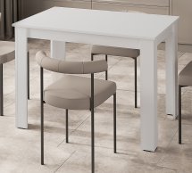 Стол обеденный SK0001