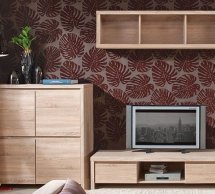 Тумба ТВ RTV2S/14 Каспиан Сонома