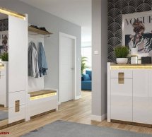 Шкаф REG1D1M2S Alameda