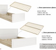 Ліжко Діана 