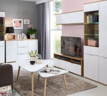 Витрина REG1W1D Zele